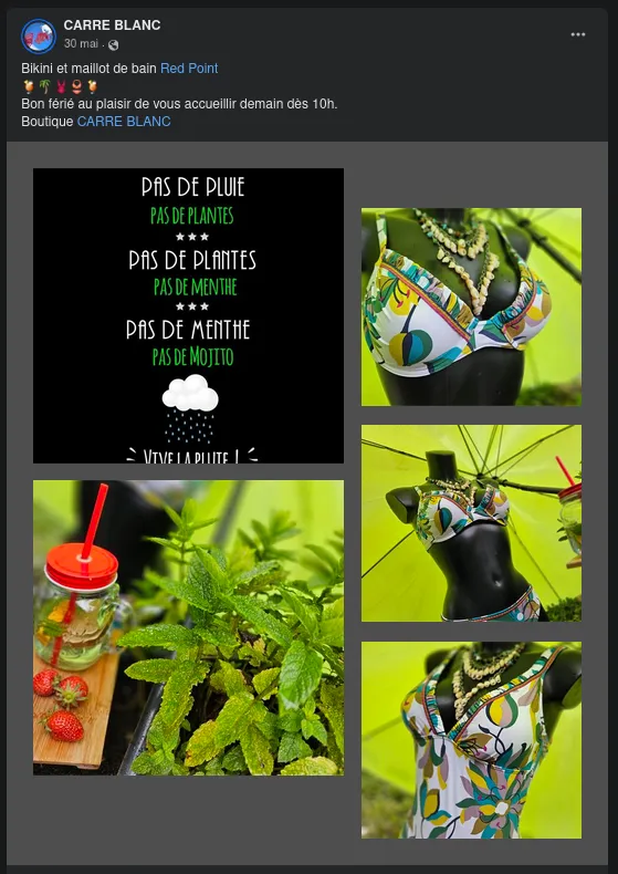 Une composition en 5 vignettes avec un maillot de bain coloré photographié sous différents angles une boisson estivale entourée de menthe et une vignette avec le texte : 'Pas de pluie, pas de plantes ; Pas de plantes, pas de menthe ; Pas de menthe, pas de mojito ; Vive la pluie !'